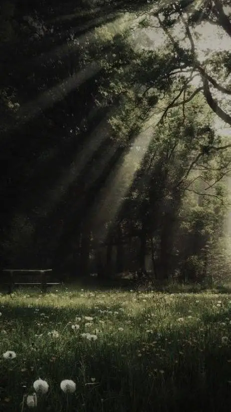 ai character: Rui background