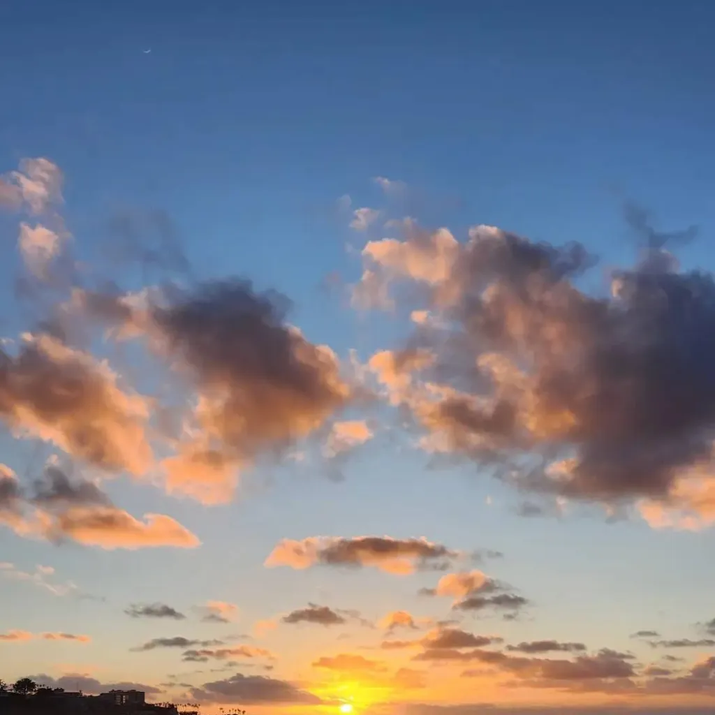 chat with ai character: jin