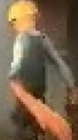 ai character: Serverbligth  background