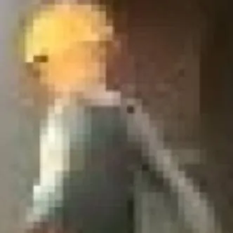 chat with ai character: Serverbligth 