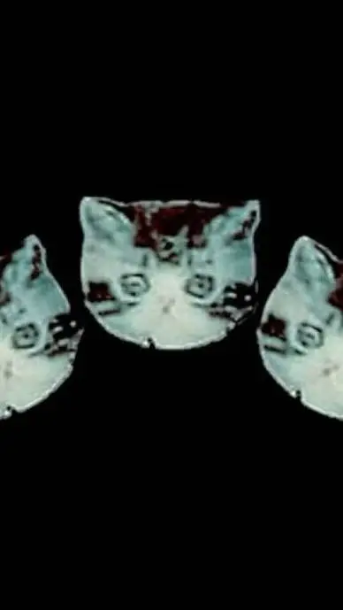 ai character: the goldfinch  background