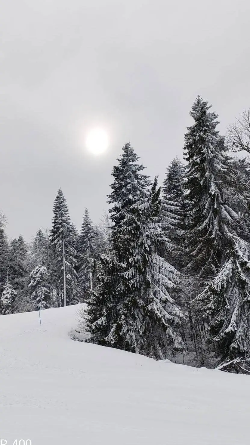 Talkie AI - Chat with COD (snow day..!)