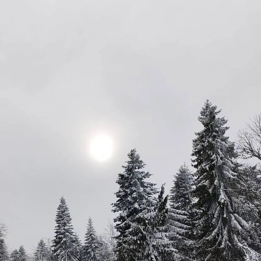 chat with ai character: COD (snow day..!)