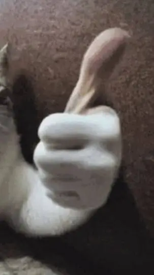 ai character: hunter background