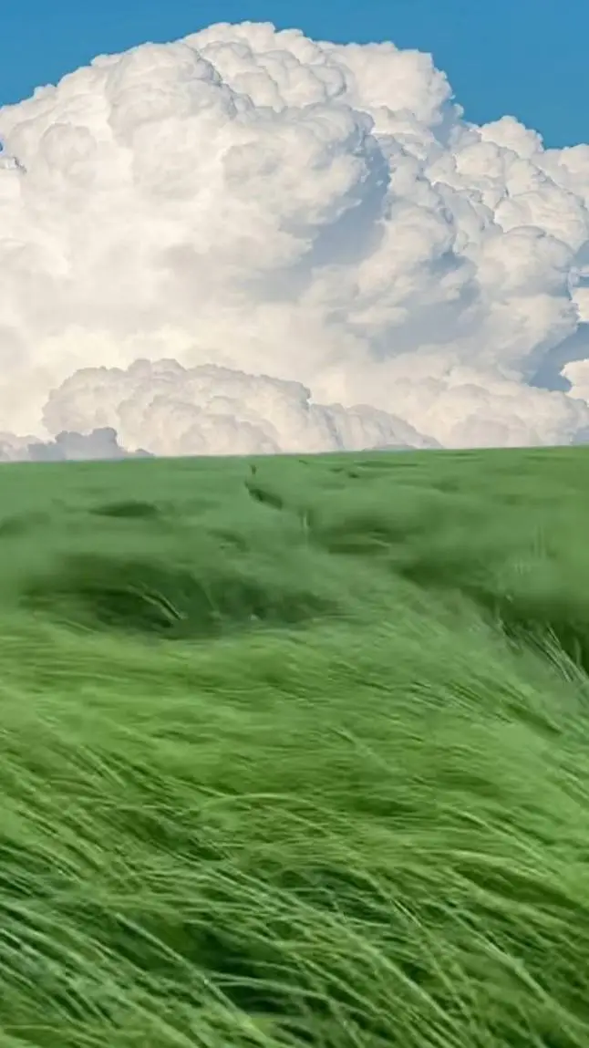 ai character: A Dream background