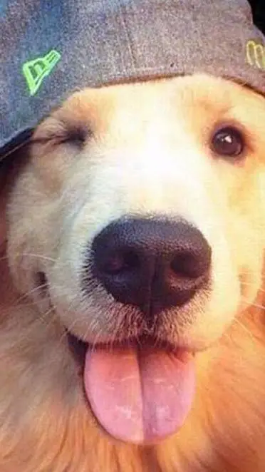 ai character: 𝐀 background