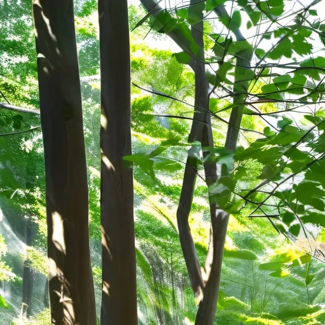 chat with ai character: gray sprunki