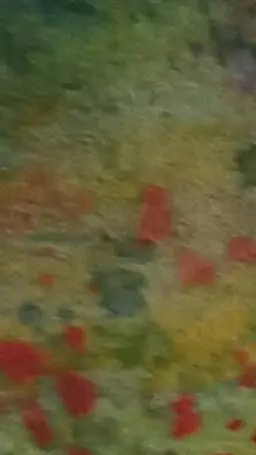 ai character: Camélia background