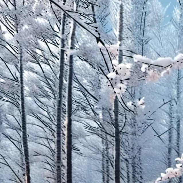 chat with ai character: counturyhumans