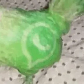 chat with ai character: Grupo de Whatsapp 