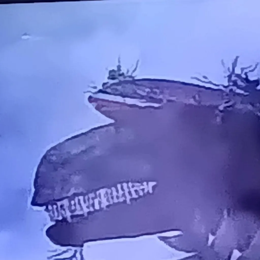 chat with ai character: Complex animations