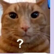 chat with ai character: XDDD