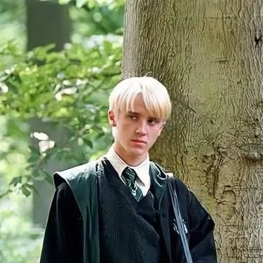 chat with ai character: draco malfoy 