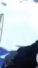 ai character: Mha Fieldtrip background