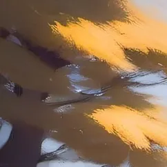 chat with ai character: BerryFunny 