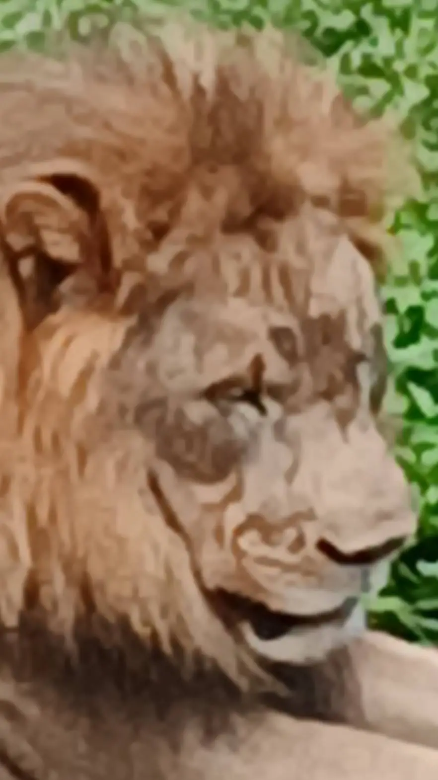 ai character: the new split background