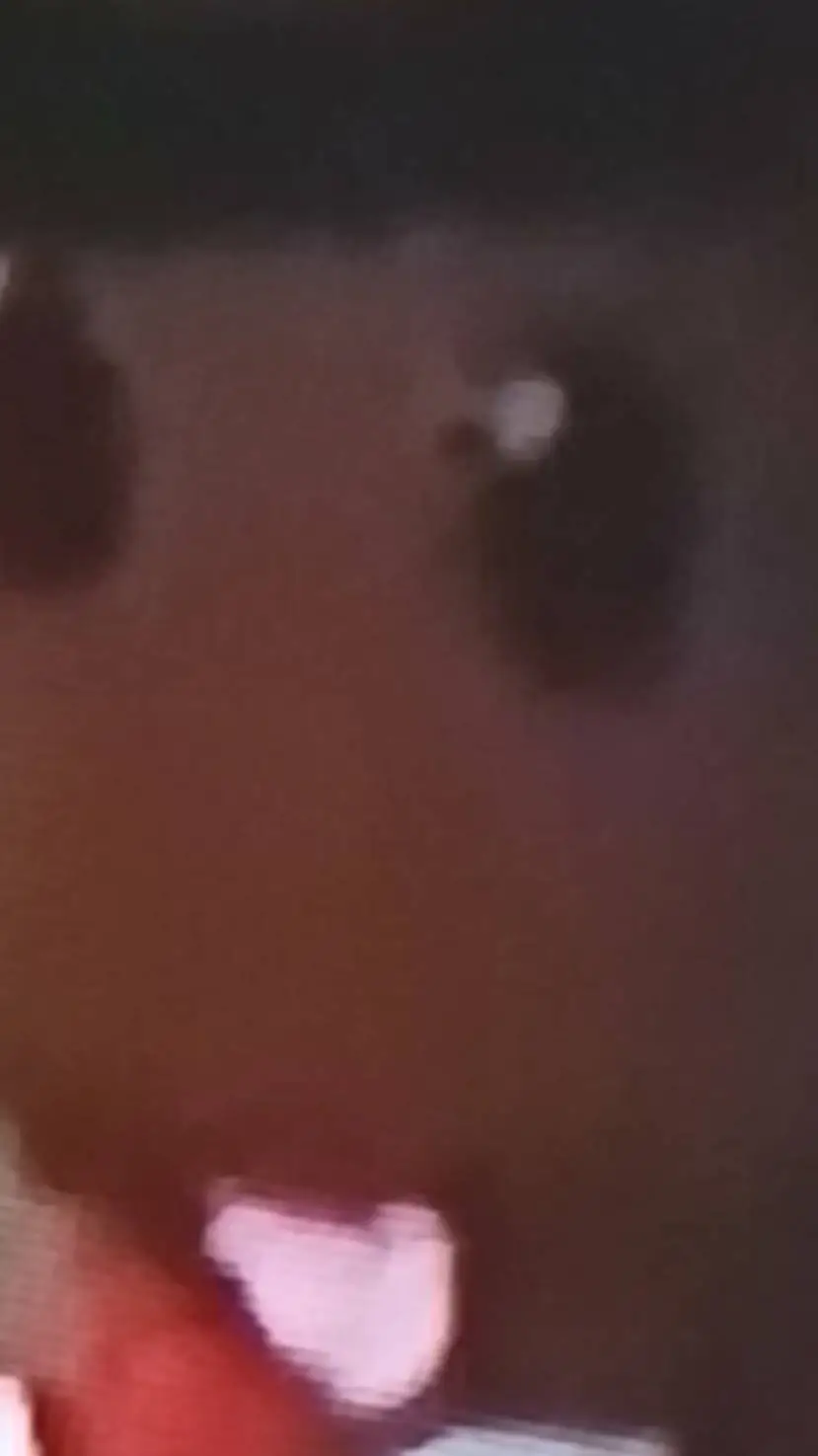 ai character: Templetons gift  background