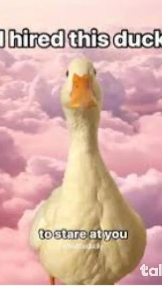 ai character: duck background