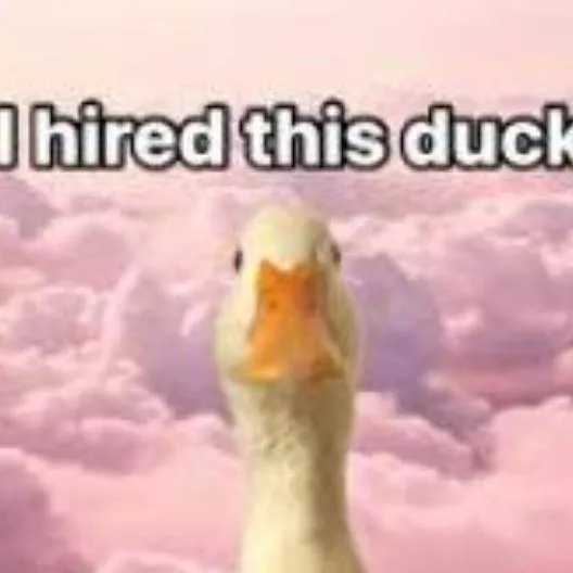 chat with ai character: duck