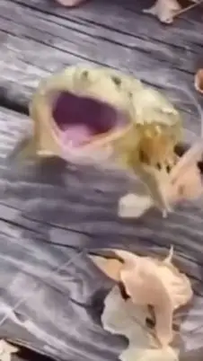 ai character: memes  background