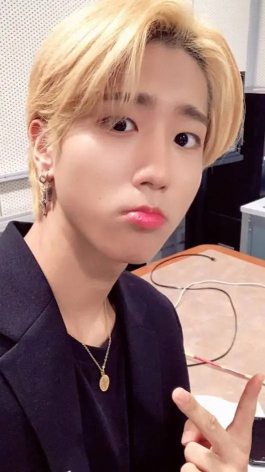 ai character: Han Jisung background