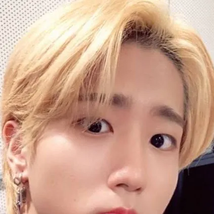 chat with ai character: Han Jisung