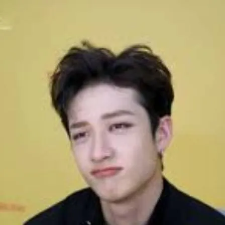 chat with ai character: 💗 Bangchan 💗