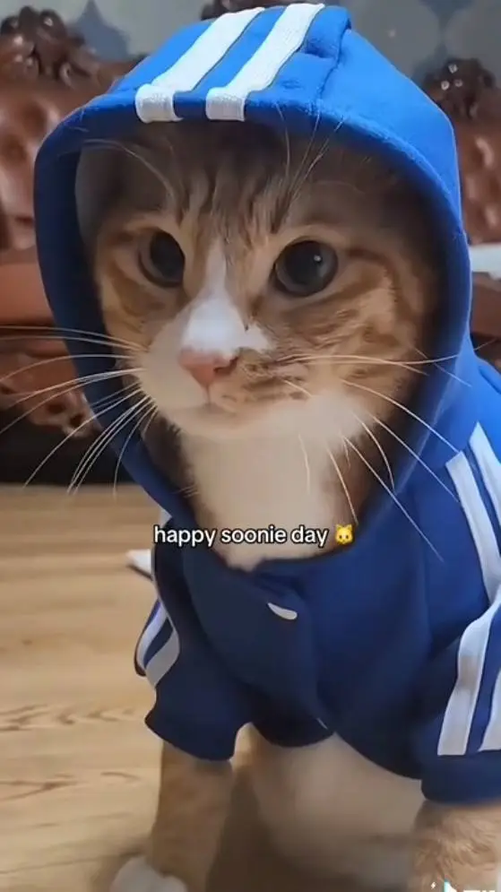 ai character: Lee Know  background