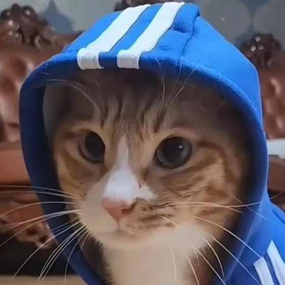 chat with ai character: Lee Know 