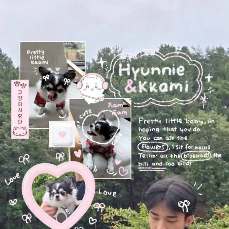 chat with ai character: Hyunjin & Kkami 