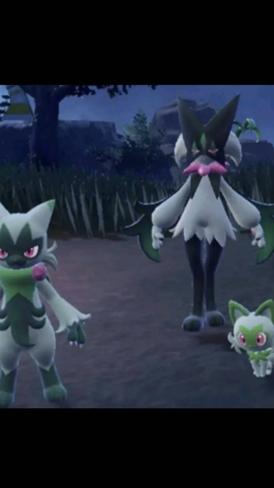 ai character: Meowscarada family background