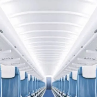 chat with ai character: dw in airplane