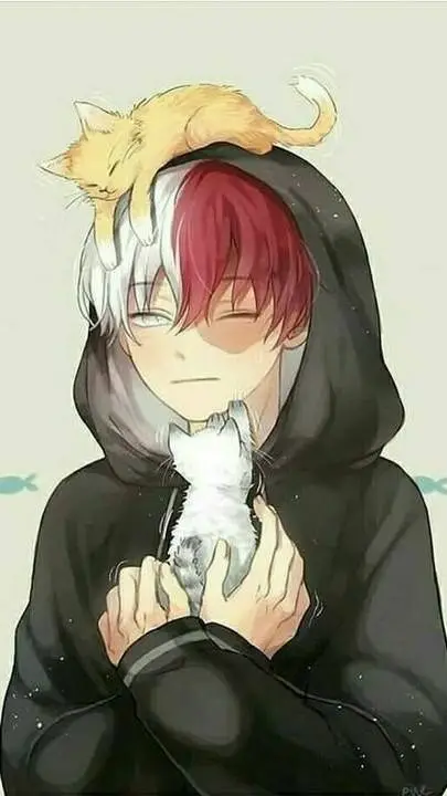 ai character: 🔥🧊Shoto🧊🔥 background