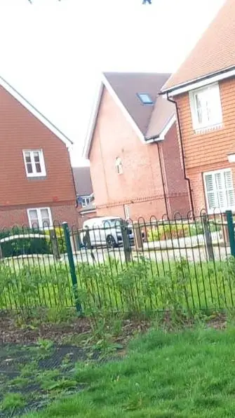 ai character: serbia school background