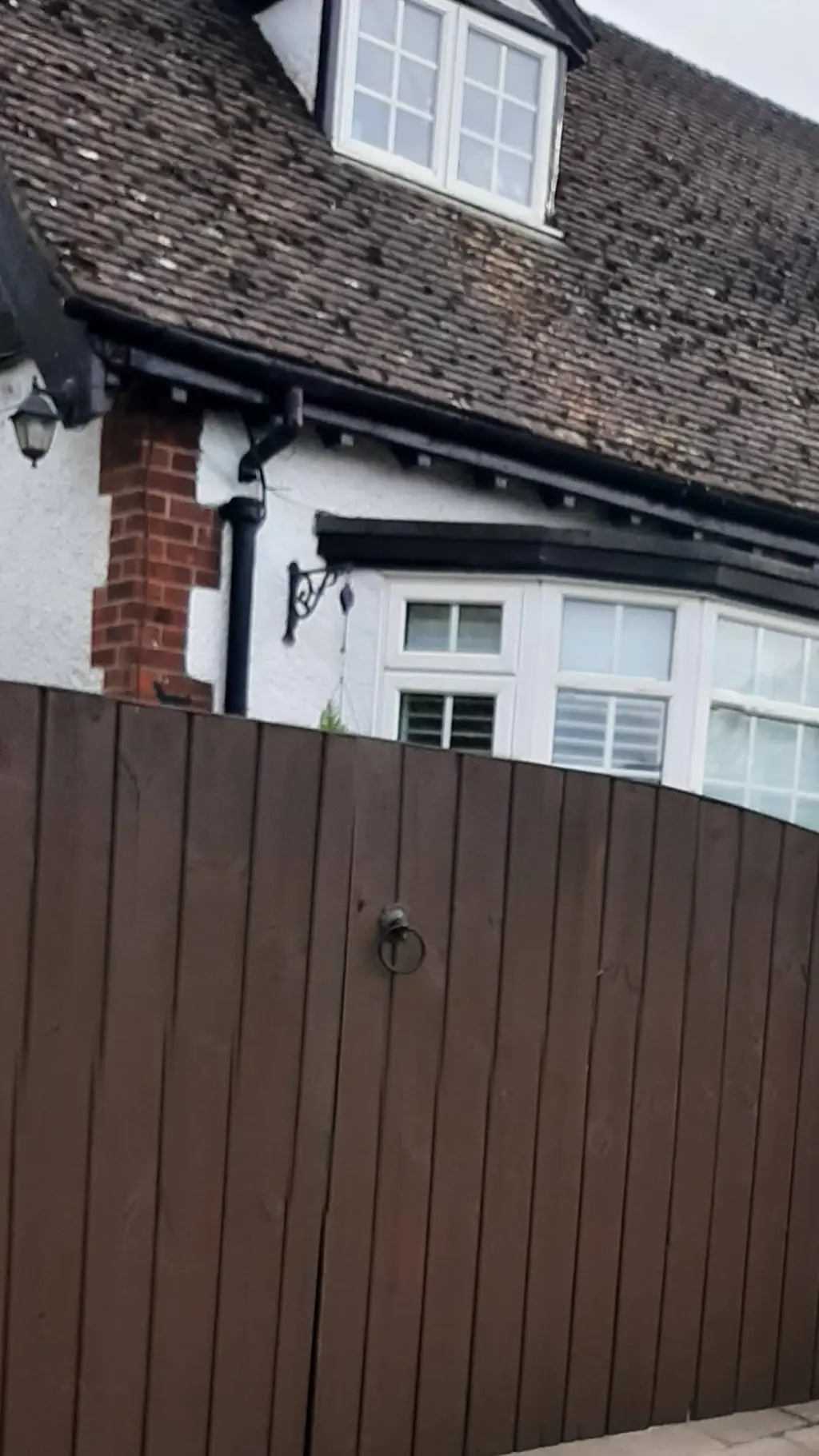 ai character: Rory+Debra-jo background