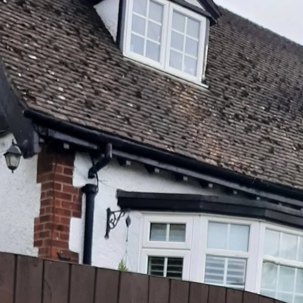 chat with ai character: Rory+Debra-jo