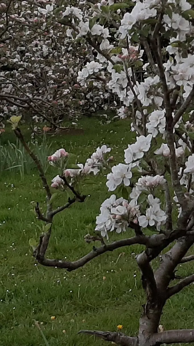 ai character: sandlot background