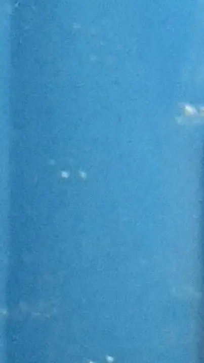 ai character: Rory+yn background