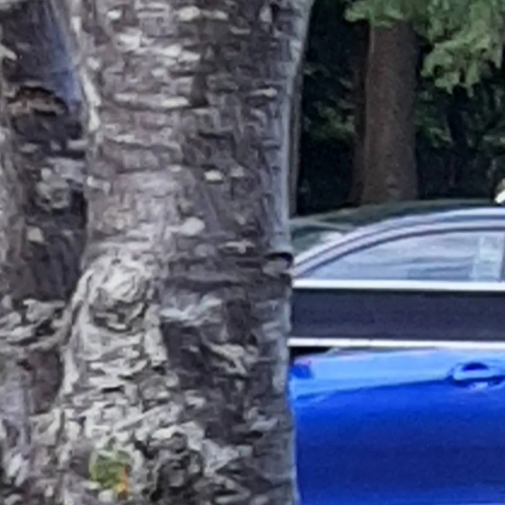 chat with ai character: little lunch