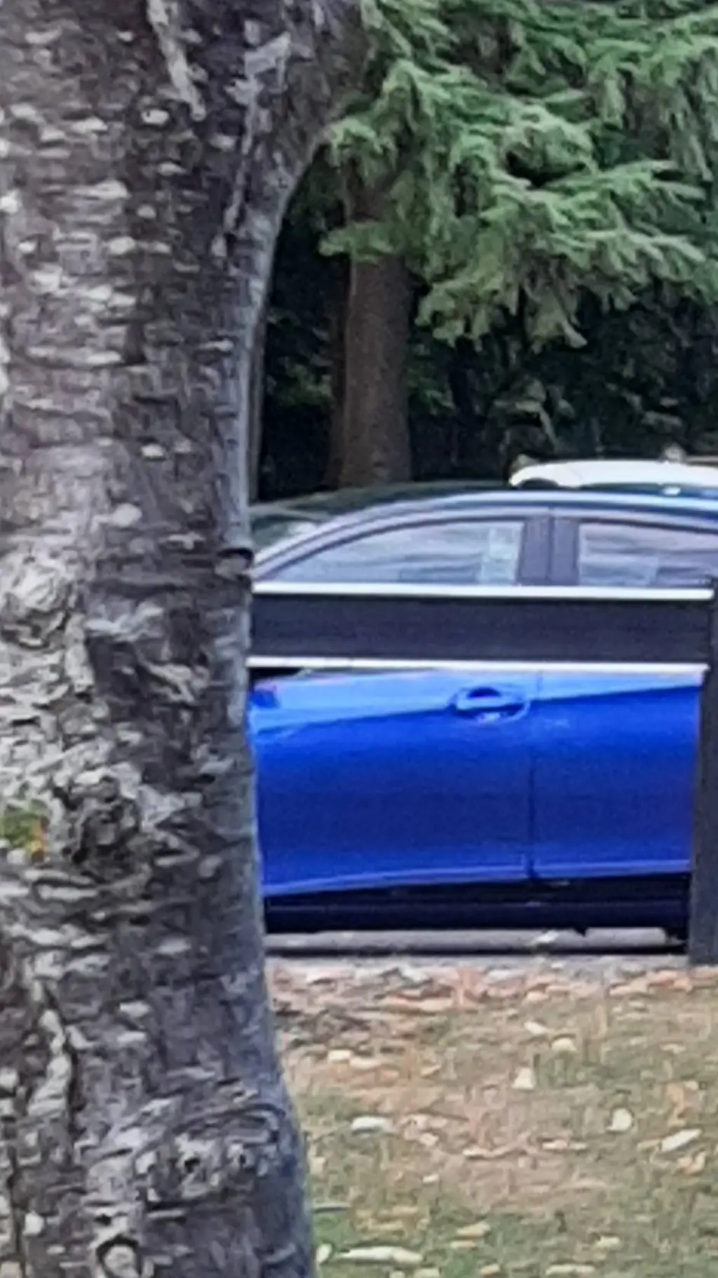 ai character: Tbp(finney) background