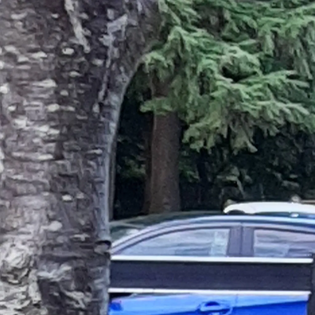 chat with ai character: Tbp(finney)