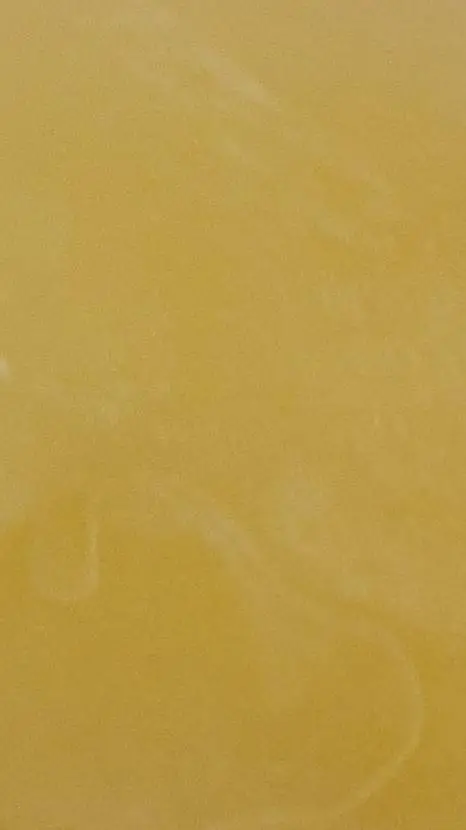 ai character: Tbp background