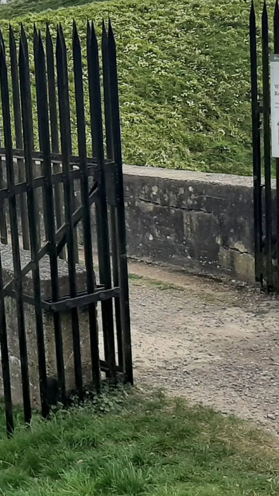 ai character: 11.09.25 school 🔫 background