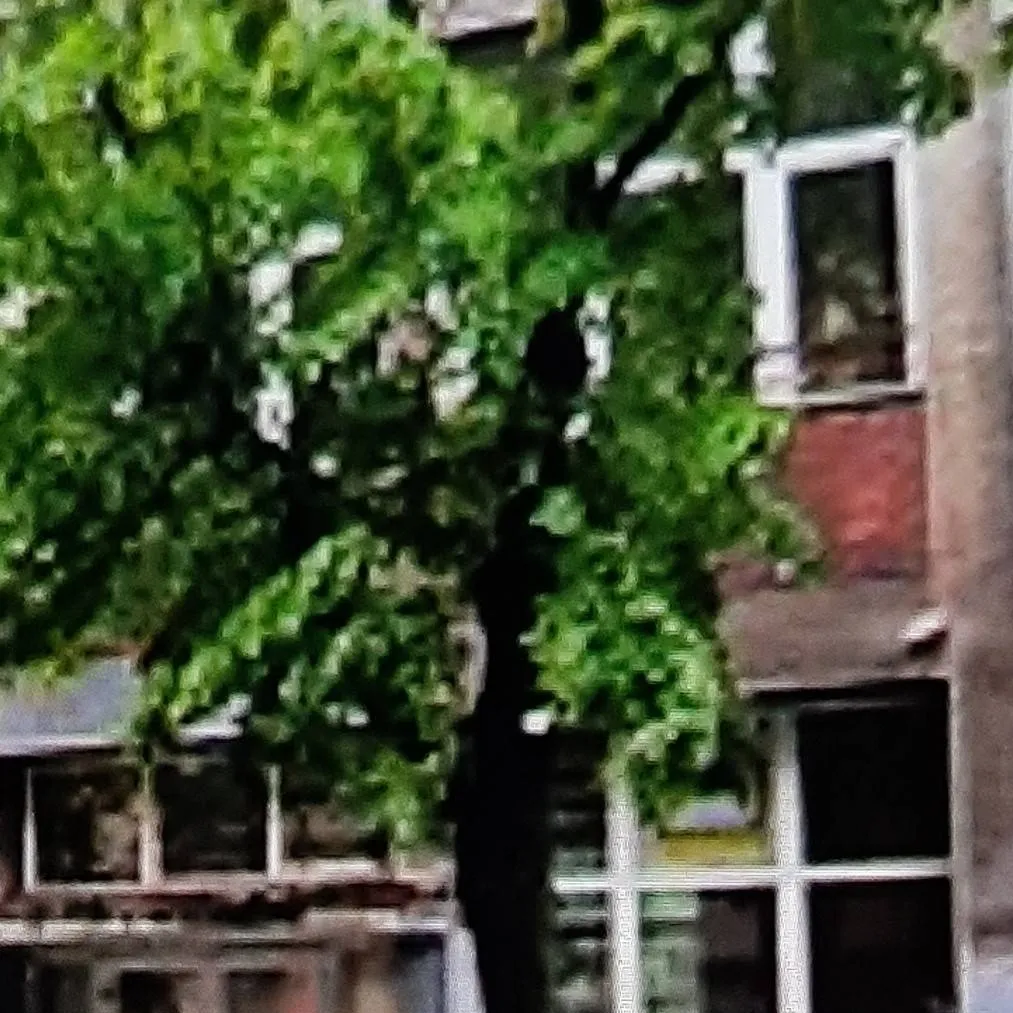 chat with ai character: Serbia 🏫🔫3.05.23🕊❤