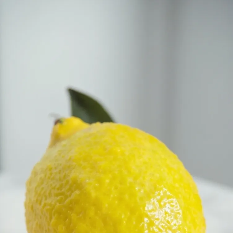 chat with ai character: Lemon