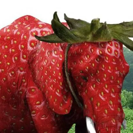 chat with ai character: strawberryelephant