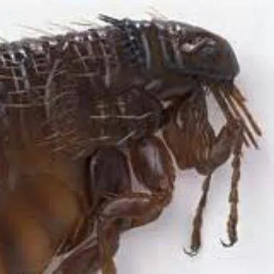 chat with ai character: Финляндия