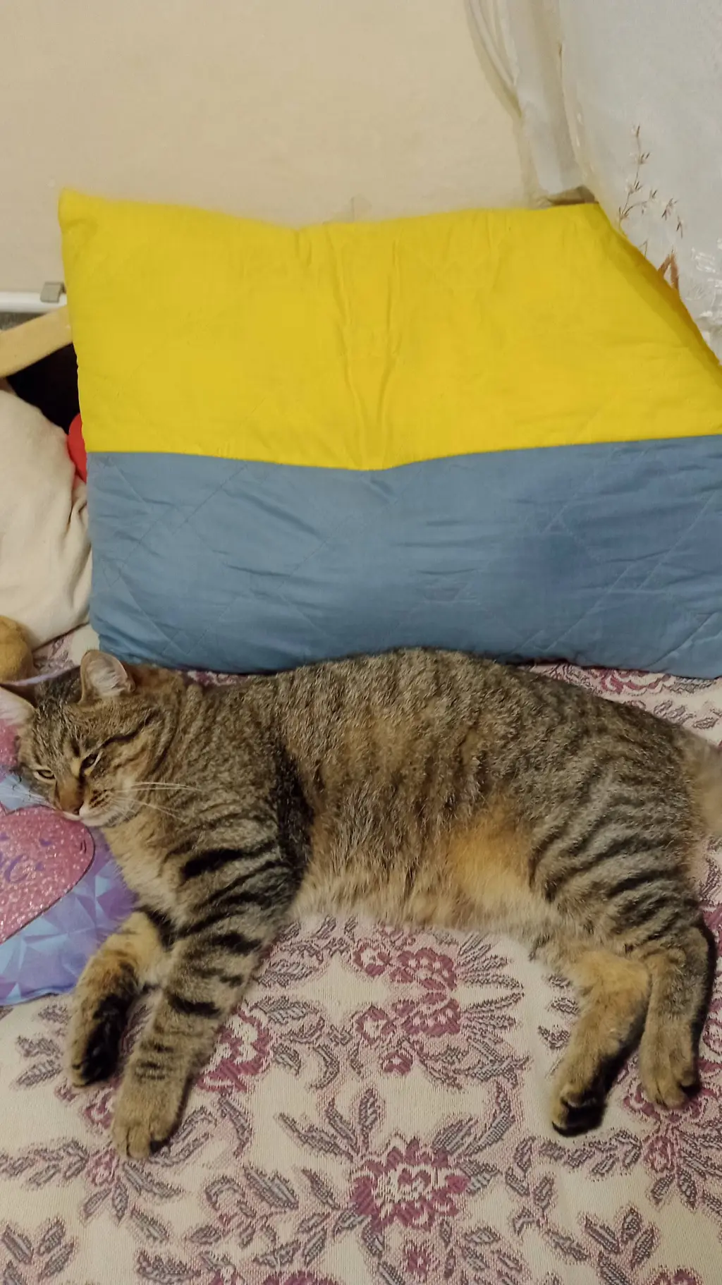 ai character: Дрёма background