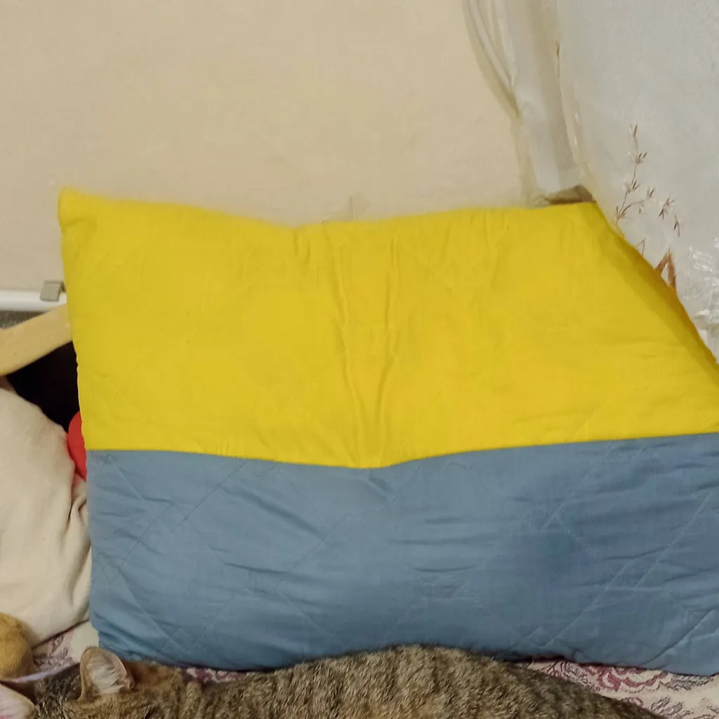 chat with ai character: Дрёма