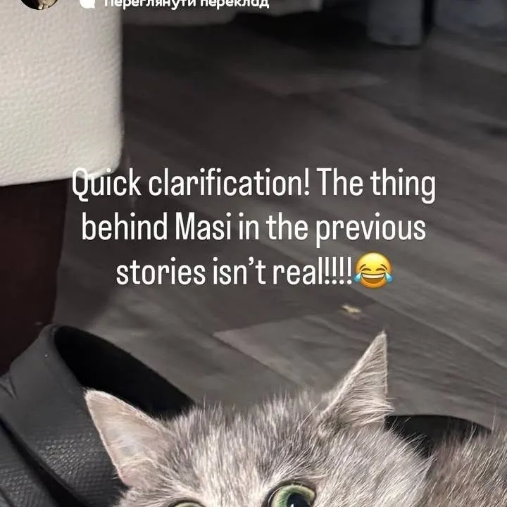 chat with ai character: mini masya